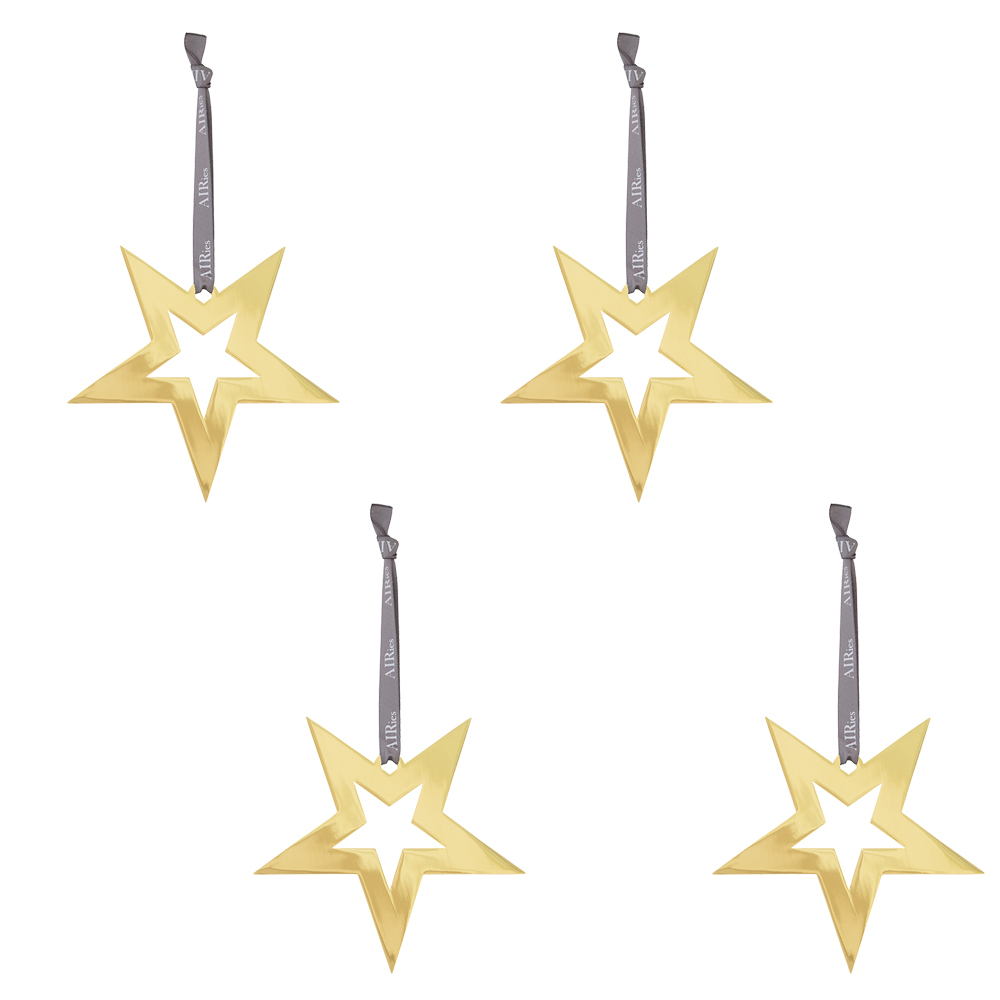 AIRies 4 stjerne vedhæng, guld