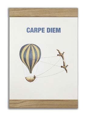 Carpe diem, 2-in-one