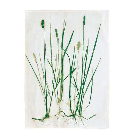 Södahl Grass Viskestykke 50 x 70 cm