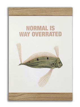 Normal is way overrated, 2-in-one