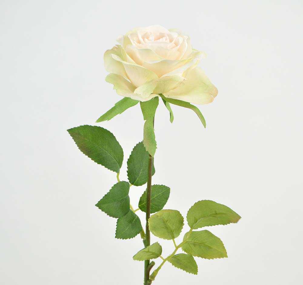 Rose branch, 43 cm, cream