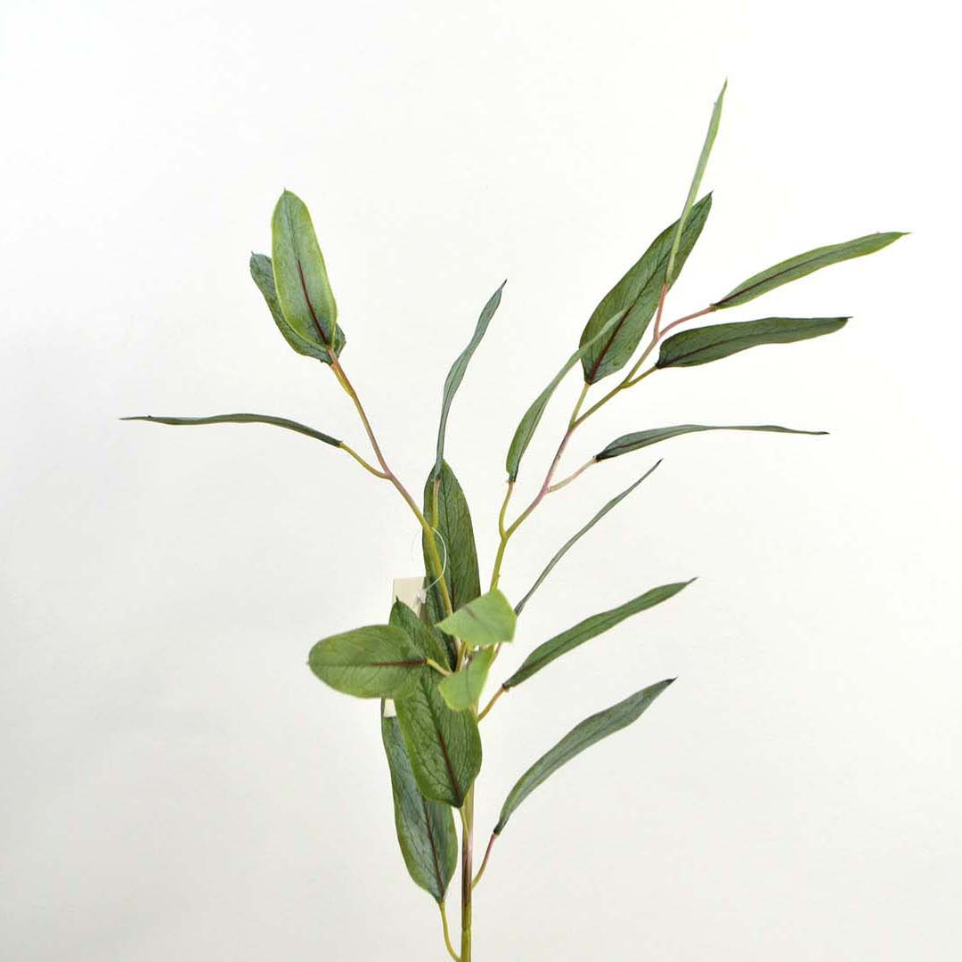 Eucalyptus branch, narrow leaf, 74 cm, natur